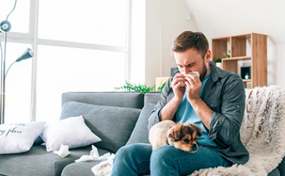 Hondenallergie: leven met een hondenallergie